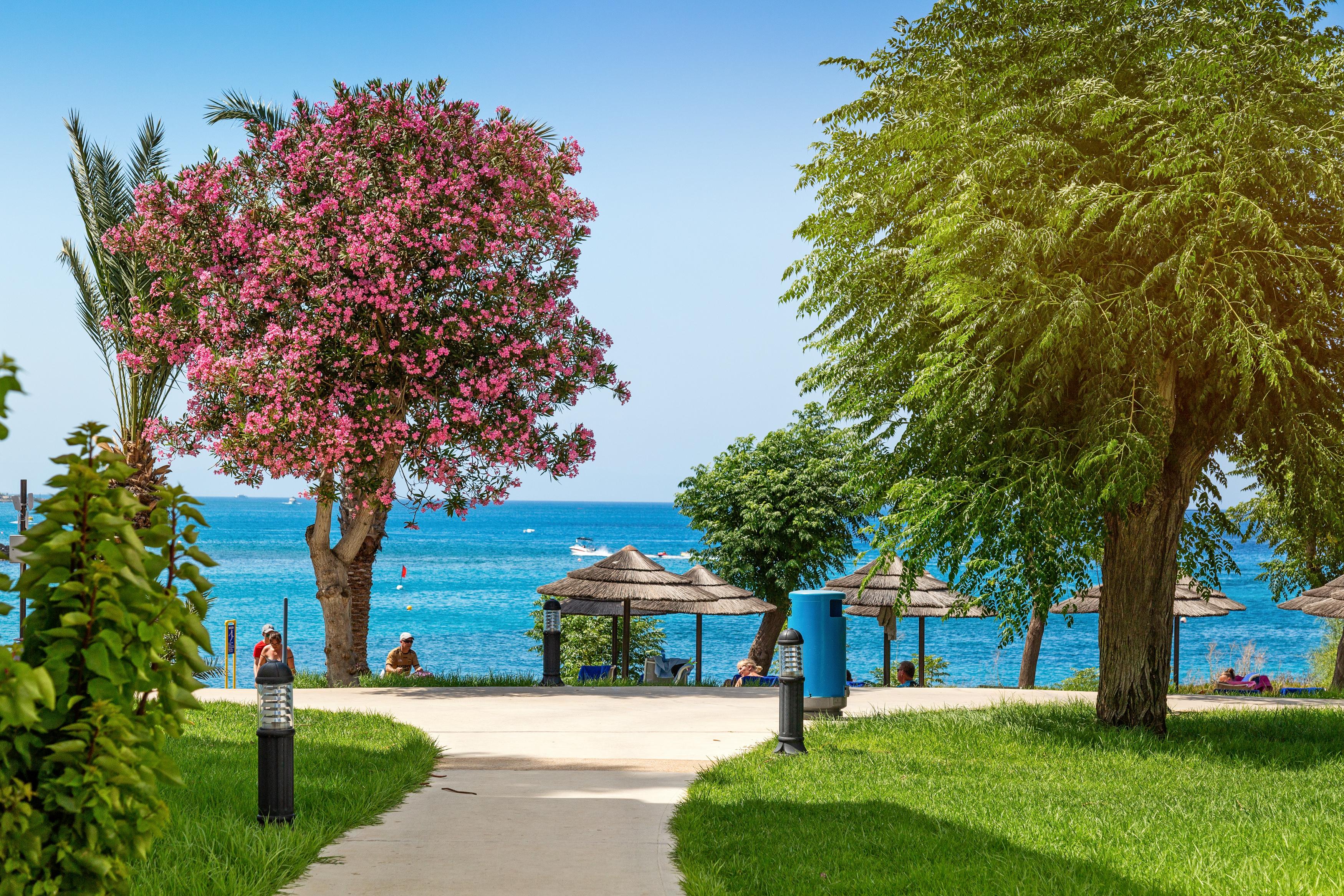 Nausicaa Beach بروتاراس المظهر الخارجي الصورة
